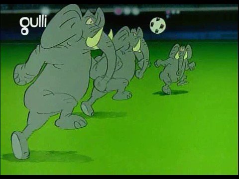 hippopotame