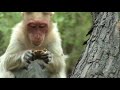 IIT Madras IIT Madras
