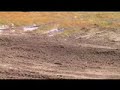 Kiely Ripping The Mud