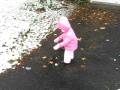 videos de Xia in the first snowfall of 2008 2
