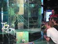 ROV Family Event 4/5/08