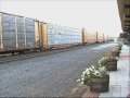 BNSF Bongas on Q-254