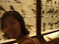 UST Museum
