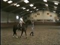 Donzidane wordt zadelmak gemaakt