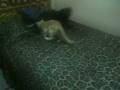 videos de Keka & mininaa!