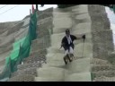 プラスノー
