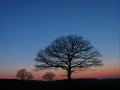 Rachmaninoff Vespers - Rejoice, O Virgin