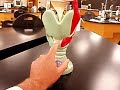 Larynx Model Anatomy