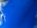 videos de Conventry Hantu Gathering