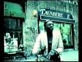 videos de shoplifter