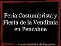 Feria Costumbrista de Pencahue