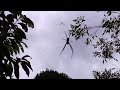 I uploaded a @YouTube video http://t.co/c0wUoUxJ 20120208 180911