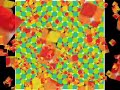 optical illusions optical illusions