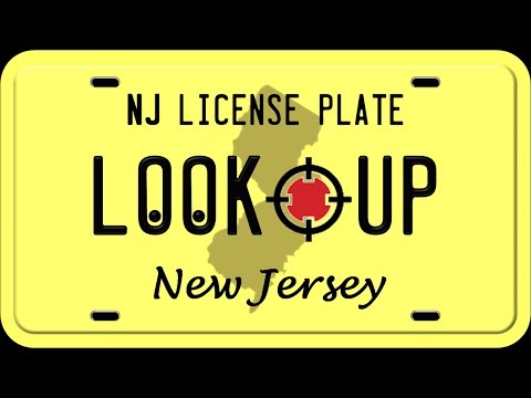 how to look up a vehicle by license plate