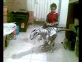 Roboraptor di Fuoco