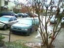 It  Snowed!!!