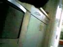 Dog cam