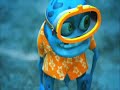 ���CRAZY FROG!!!