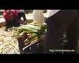 Lake Titicaca Puno Peru 秘魯的的喀喀湖