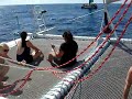 Attack on the MaiTai Two
