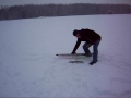 Winterfliegen