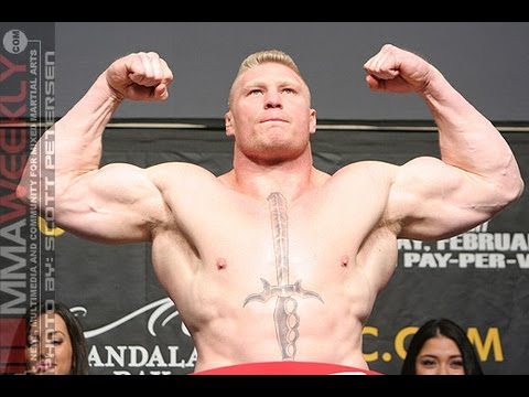 brock lesnar