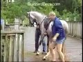 Apanhados do Cavalo