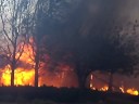 Yorba Linda Fire 11-15-08 (4)