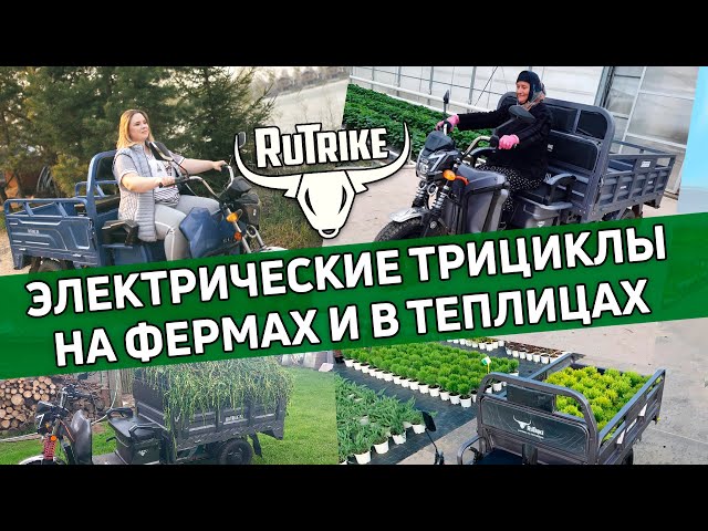 Rutrike на агрофермах