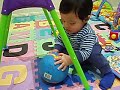 Vinci Playing Ball 1