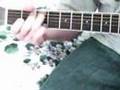 Jeff-Buckley-Everybo