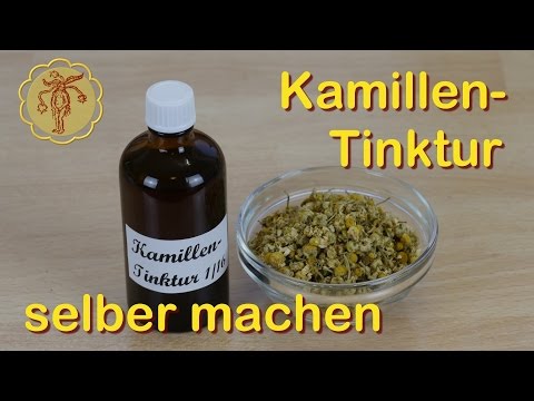 Kamillen Tinktur selber machen