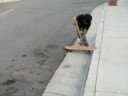 snapping adrians board