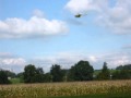 Modellhelikopter Lama von Vario