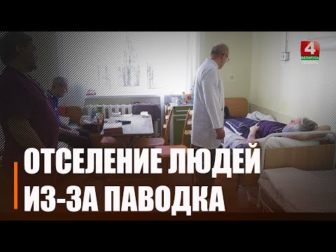 З-за сітуацыі з паводкай у Гомелі адсялілі 2-х чалавек видео