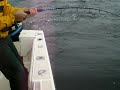 Camil and 164 lbs. bluefin on spinning rod