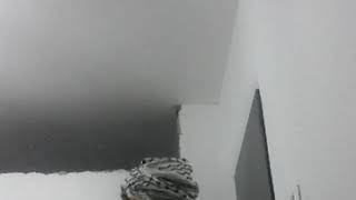 الخليل مخيم الفوار