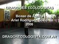 boxeo de la garra del águila 鹰爪拳 shaolin kungfu