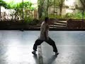DRAGONÆS ECOLOGISTASÉtica y Artes Marciales.Sifu Ariel Rodríguez Bosio