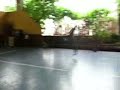 boxeo de la garra del águila 鹰爪拳 shaolin kungfu