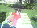 Maria Emilia Farina