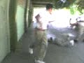 topo pendejo