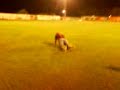 Beteta clava un gol en Carcaixent