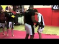 Alistair Overeem legs kicks some guy