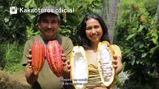 Kakaoteros – Negocio Verde