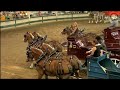 Iowa State Fair - Belgian Horse Show