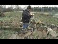 Wolf Park Week- Dec. 6, 2009