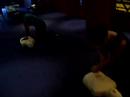 DLL CPR DLL CPR