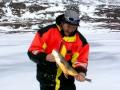 Rödingfiske