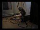 two-cats-on-treadmill.html